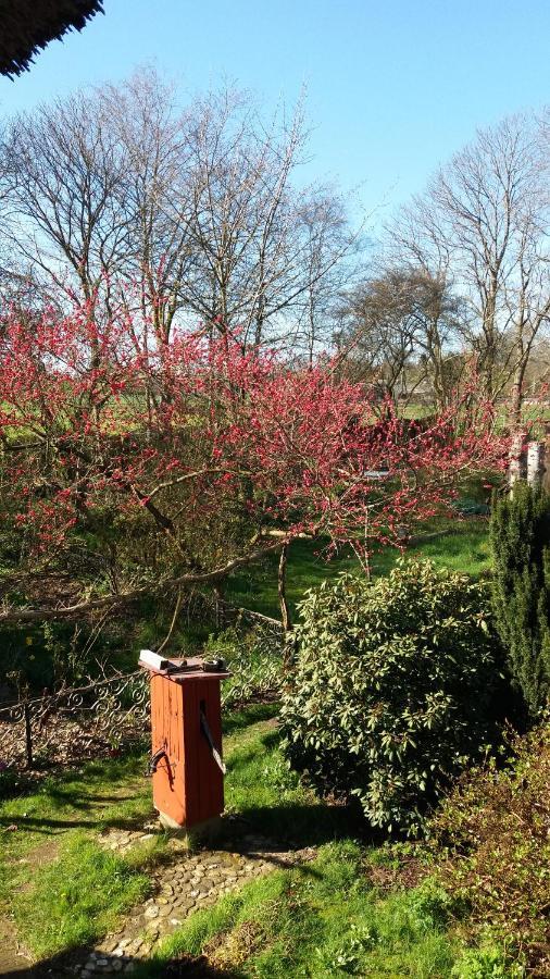 De Geheime Tuin - Uitzicht Acomodação com café da manhã Epe Exterior foto